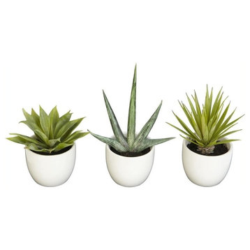 Southwest Collection, Set of 3