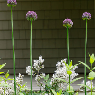 Herbal Children's Garden