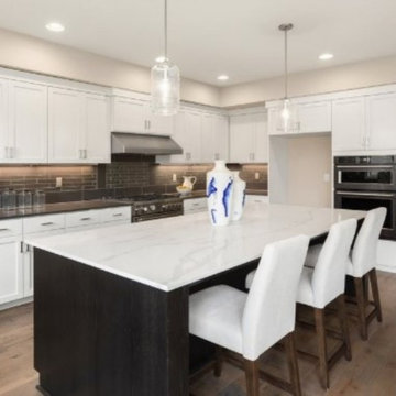 Kitchen Remodel - Cupertino