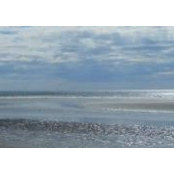 Laurie Jasper's photo