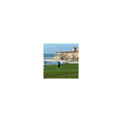 Robert Palmer's photo