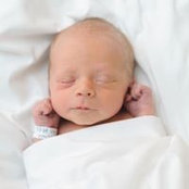 Michelle Ridings's photo