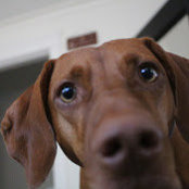 Kenna VanderWest's photo