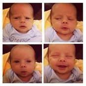 Ryan Harrison's photo
