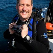 Mark Reckmans foto