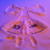 Lim Hweeさんの写真