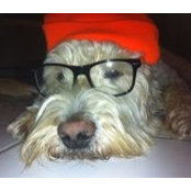 Bettina Neubauer's photo