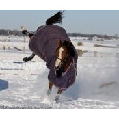 Kim Cederlund's photo