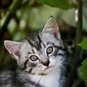 Foto de michela_blake
