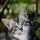 michela_blake