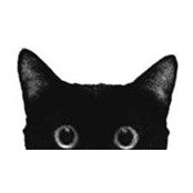 Chiara Paderni's photo