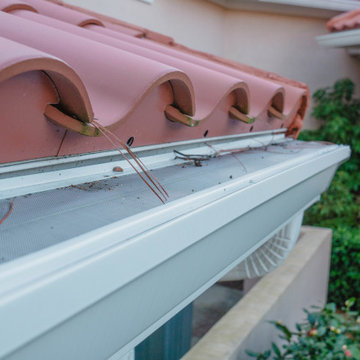 Gutter Guards