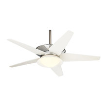 Ceiling Fans
