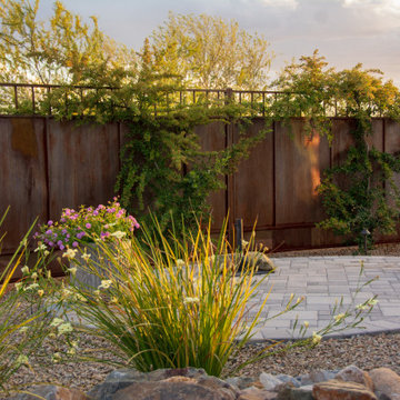 Life Amongst the Saguaros