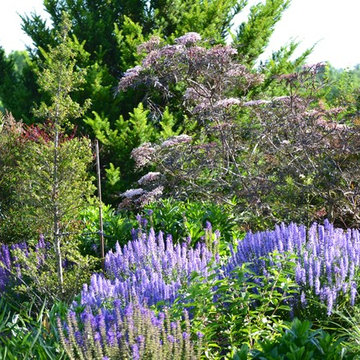 Conservation Landscape
