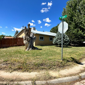 Property Clean-Up Services
