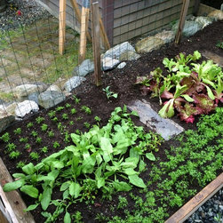 Seeding Square Gardens - Gardening Hand Tools