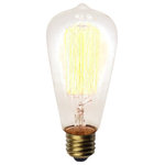 Urbanest - Dimmable Squirrel Cage 40 Watt Edison Bulb, E26 Base - With clear glass and prominent filmaments, Edison light bulbs are a simple and effective way to make a statement in lighting.