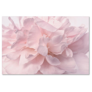 Cora Niele 'Pink Peony Petals II' Canvas Art