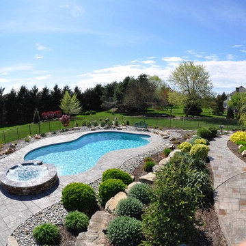 Freeform style in-ground salt water pool with raised spa
