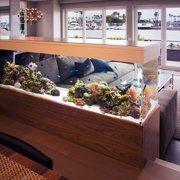 Couch Dream - 240 gallons Room Divider Aquarium