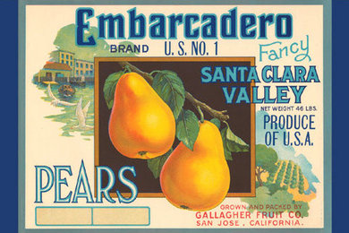 Embarcadero Pears - Print Gallery Palette