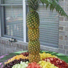 CSB Creations