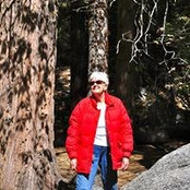 Barbara Steiners billede