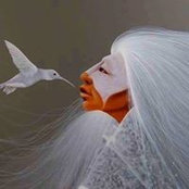 JoAnn Thornton's photo