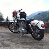 Foto von Christy Evans