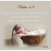 Cindy Sullivan's photo