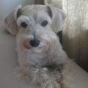 Elizabeth Calogero's photo