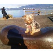 Foto von Donna Nicoll