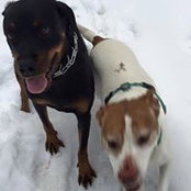 Tori Devers-Curry's photo