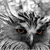 Danny Harney's photo