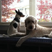 Jenna Peterson's photo