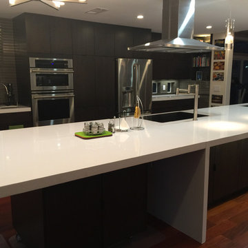 Ravi Budruk Kitchen Remodel