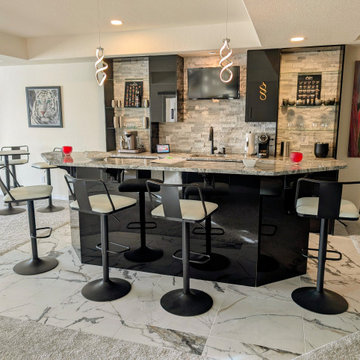 Modern Highlands Ranch Finished Basement by Brothers