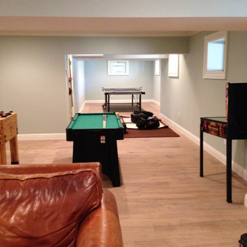Basement Renovations