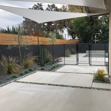 Modern Oasis