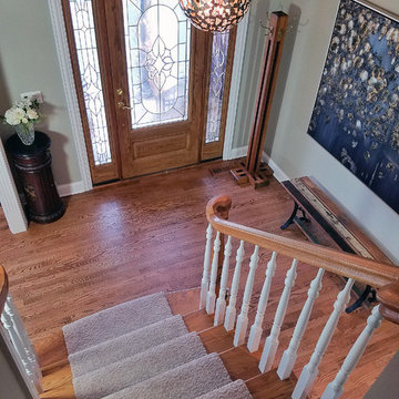 Whole House Remodel, Palatine IL