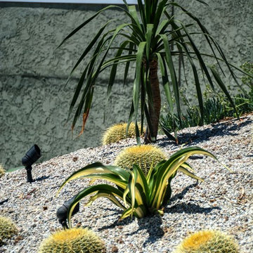 Eagle Rock