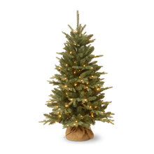 Holiday Decor