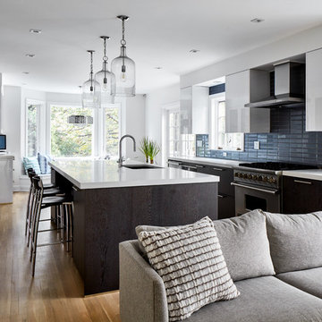 Kitchen with Integrated Living | Milton Point Renovation