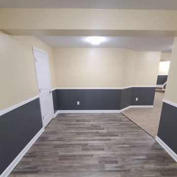 Basement Remodel