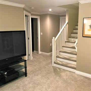 Abbotsford full basement reno