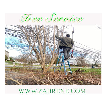 Tree Service