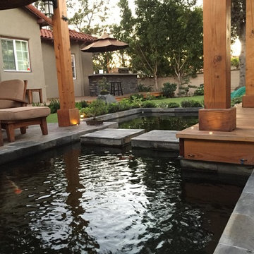 Modern Zen Koi Pond Backyard and Patio