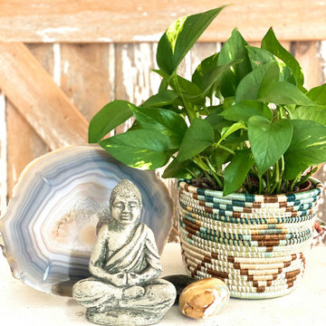 Indoor Botanicals