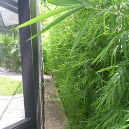 Bamboo installations - Products